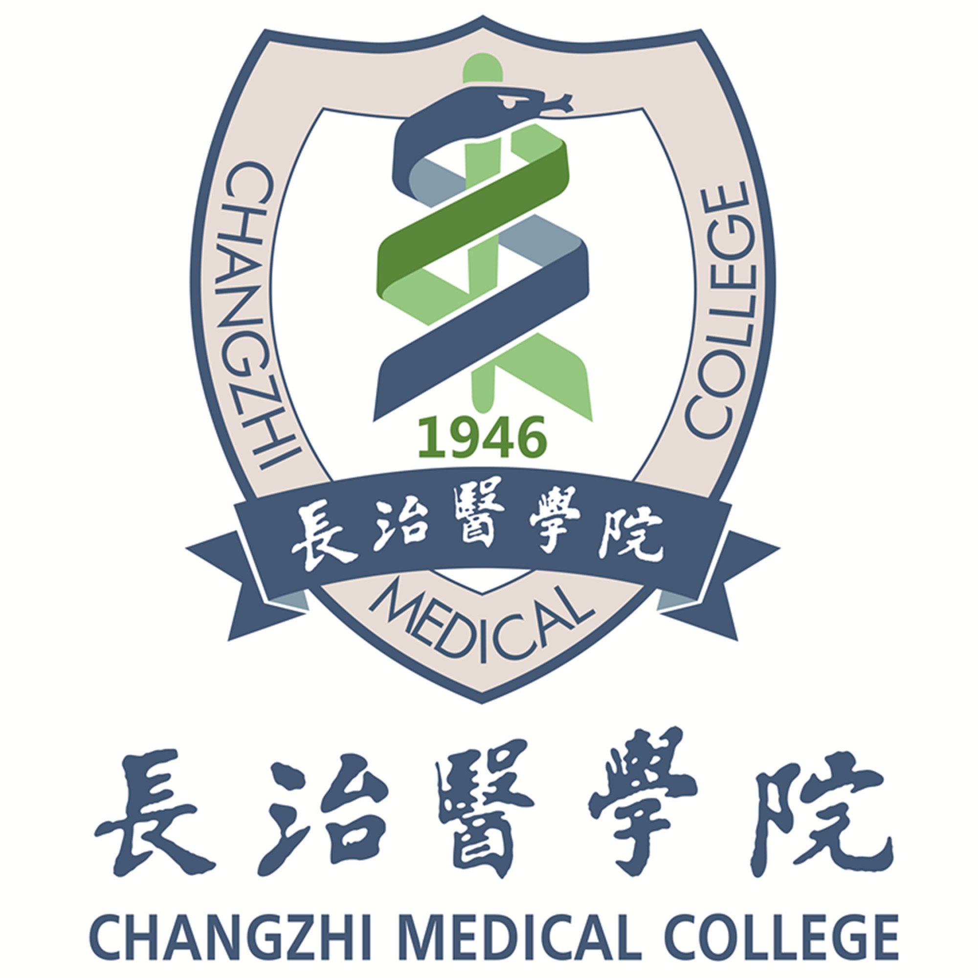 什么是借卵做试管婴儿的胚胎水平？移植的标准是什么？