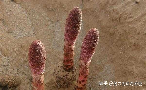 做供卵借卵试管医院成功率高吗优秀告知和万古放心-做供卵赠卵试管自怀成功率高吗