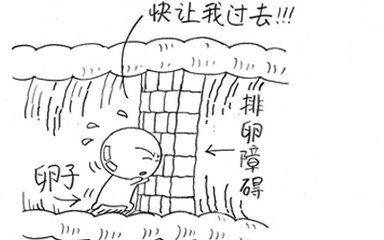 听妇科生殖医生谈做供卵借卵试管代生的分期