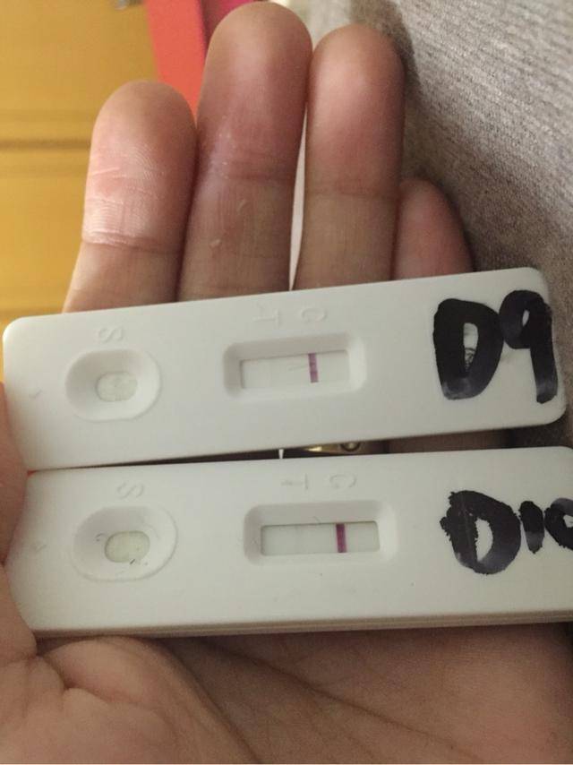 供卵做借卵试管代生胚胎的等级是根据什么标准划分的