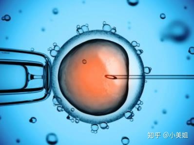 湖北黄冈赠卵试管成功率医院排名