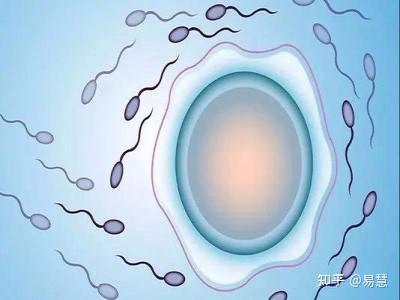 离异女性有离婚证可以专业供卵试管代怀公司？生殖科医生这么说.