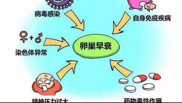 移植后孕反时间早知道,出现恶心呕吐要上心