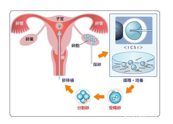 黄冈公立三甲供精试管医院排名-闭着眼也能选到高成功率