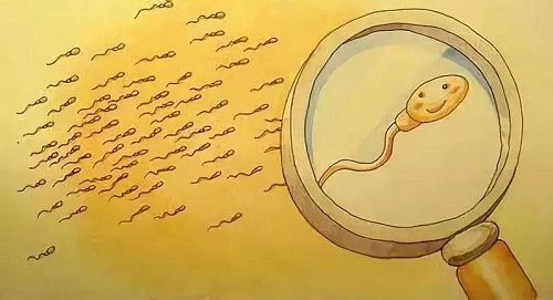 2024第三代代怀试管婴儿包生男孩多少费用（国内试管代怀妈妈包生男孩生男孩医院推荐？）