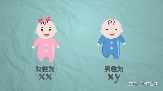 北京那家试管医院最好+北京市代生宝宝成功率最高排名医院