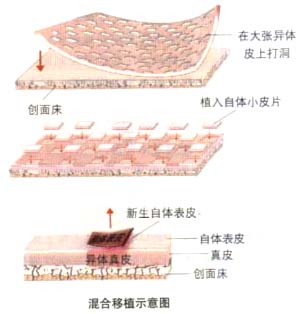 试管北京试管最好的医院排名