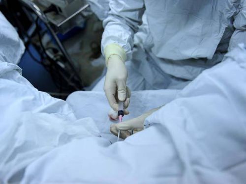 代生试管生女孩抽血前后需要注意什么事情呢