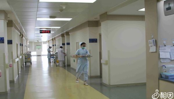 2024北京市供卵包男孩多少钱医院排名,费用高不一定技术好